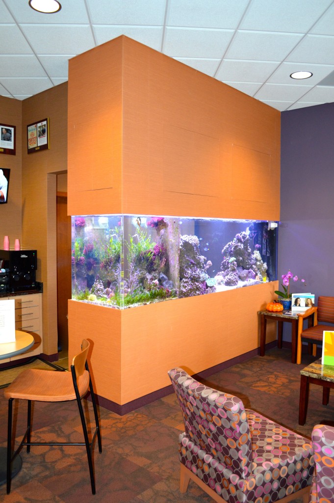 Custom Peninsula Saltwater Reef Aquarium ~ Creation of the Sea