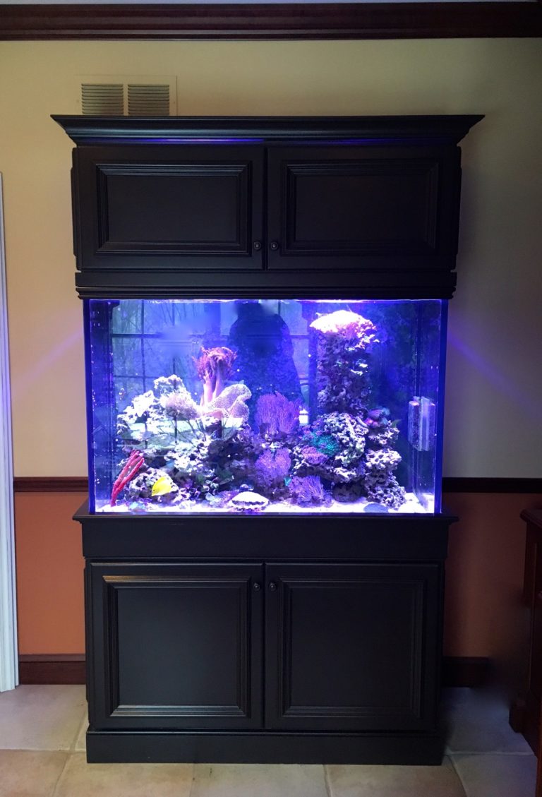 Custom Saltwater Reef Tank with Custom Maple Cabinetry ~ Creation of ...