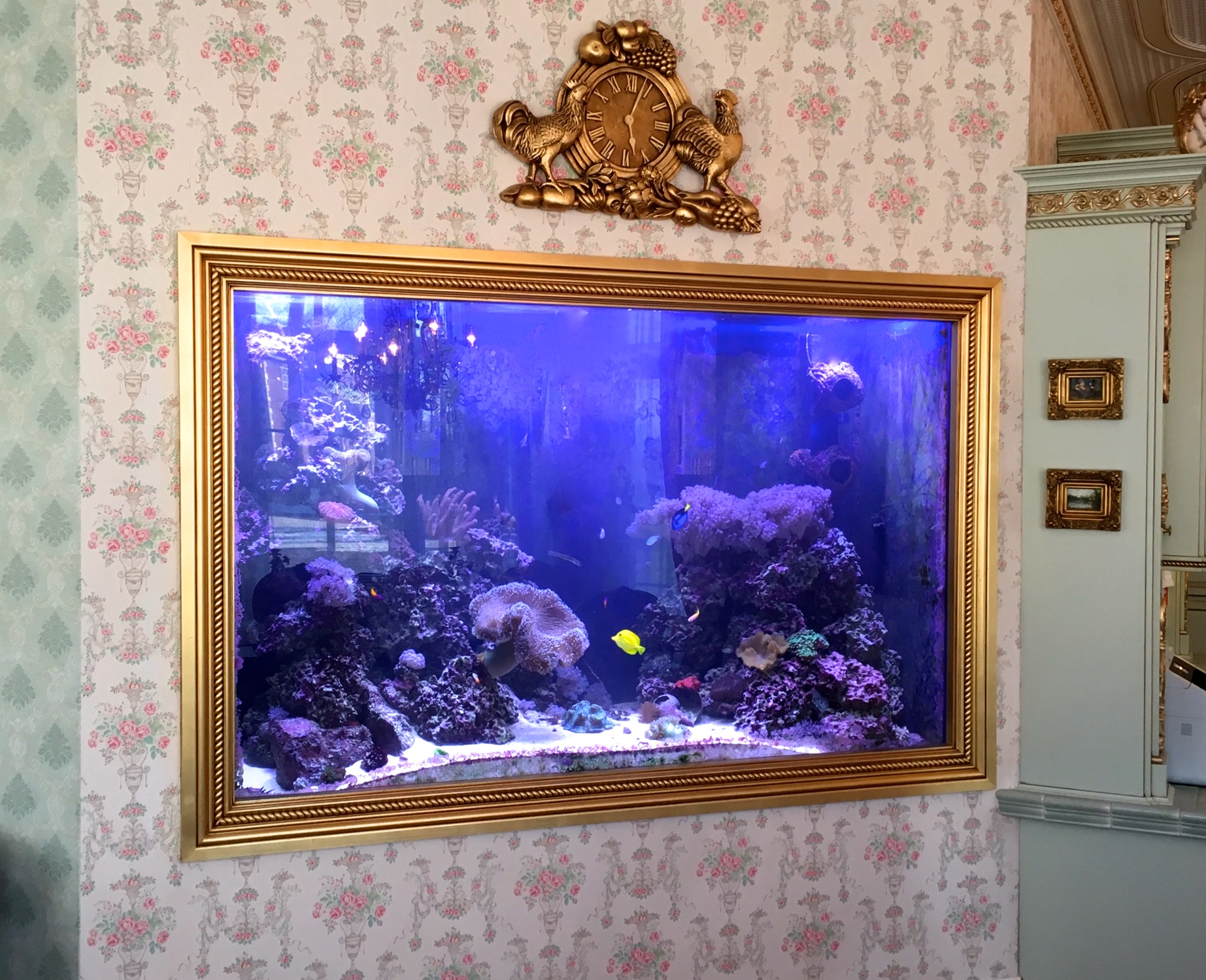 Custom Saltwater Aquariums Creation Of The Sea