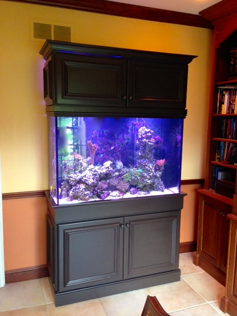 Saltwater Aquarium Testimonial #5 ~ Creation of the Sea