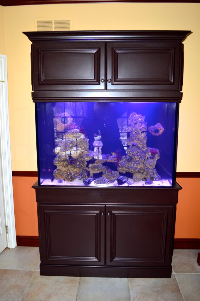 Custom Aquarium Dark Brown Maple Cabinetry ~ Creation of the Sea