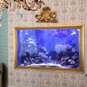 Custom Picture Frame Saltwater Aquarium