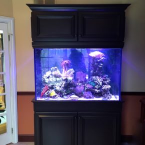 Saltwater Reef Aquarium w/ Cabinetry